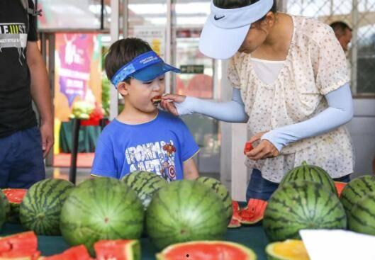 玲玲在吃瓜,甜蜜与欢笑的瓜果时光