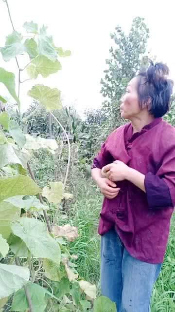 园姐吃瓜,揭秘娱乐圈那些不为人知的幕后故事