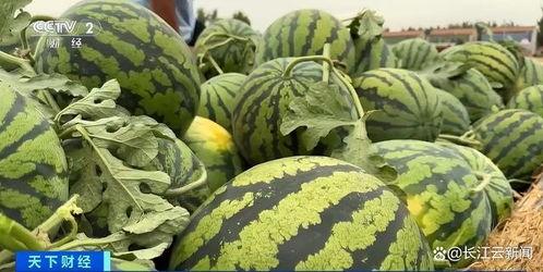 全网最新最热吃瓜,最新吃瓜大事件,揭秘幕后真相!