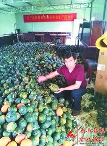 吃瓜大户瓜哥,娱乐圈那些不为人知的幕后故事