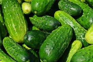 孕妇梦见吃很多瓜,瓜果满腹预示着什么？