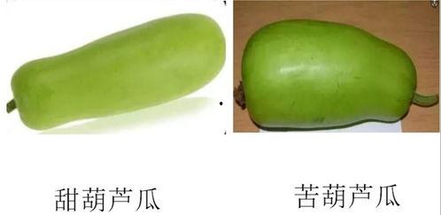 绿头发吃瓜,探寻神秘绿发族群的神秘瓜果传说