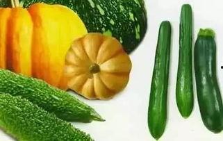 劫宝吃瓜,揭秘古代盗宝奇闻与民间趣事