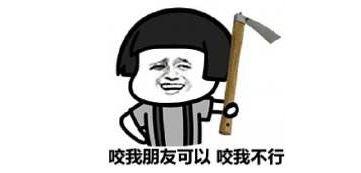 带你吃瓜 蚊子,揭秘蚊子的生存智慧与生活习性