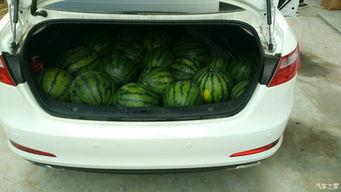 汽车上的吃瓜是什么