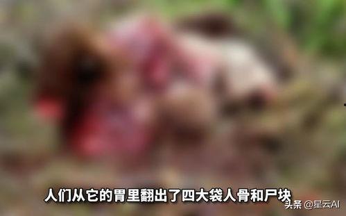 吃瓜天灰灰,揭秘娱乐圈的幕后风云